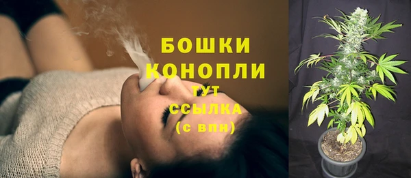 стаф Вязники