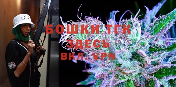 прущая мука Вяземский