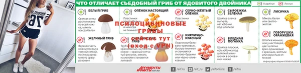 стаф Вязники