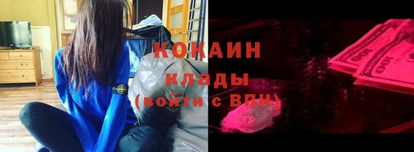 прущая мука Вяземский