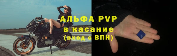прущая мука Вяземский