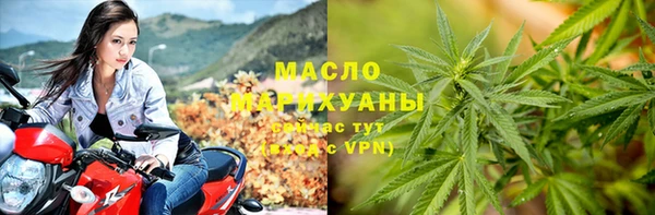 стаф Вязники