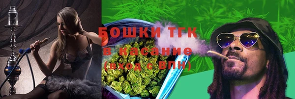 стаф Вязники