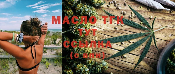 прущая мука Вяземский